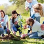 hacer un voluntariado